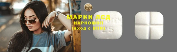 spice Алексеевка