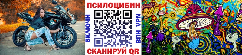 закладки  Опочка  KRAKEN зеркало  Галлюциногенные грибы Psilocybine cubensis 